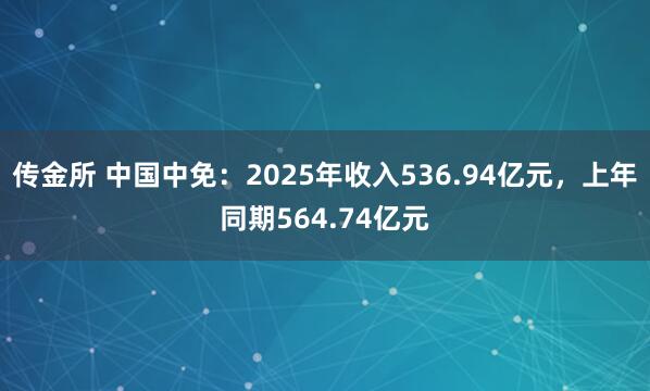 传金所 中国中免：2025年收入536.94亿元，上年同期564.74亿元